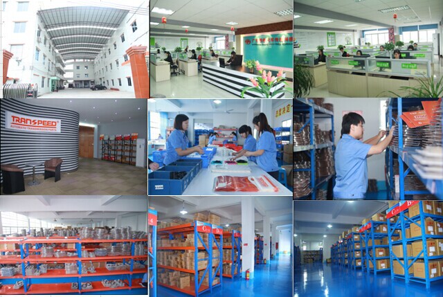 TRANSPEED company photo.jpg